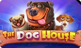 Casino Campione offre il gioco online The Dog House